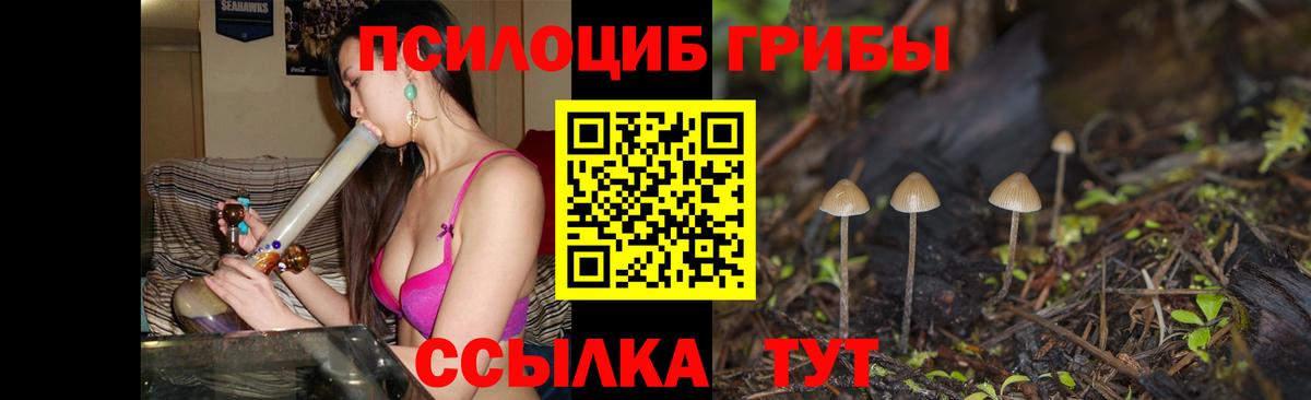 Галлюциногенные грибы MAGIC MUSHROOMS Рассказово